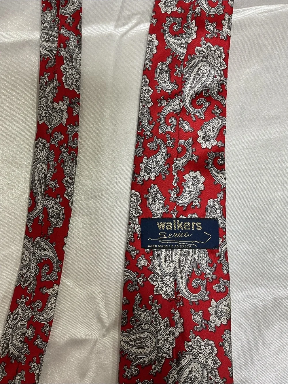 Men's Paisley Skinny Tie in Red - Unbranded